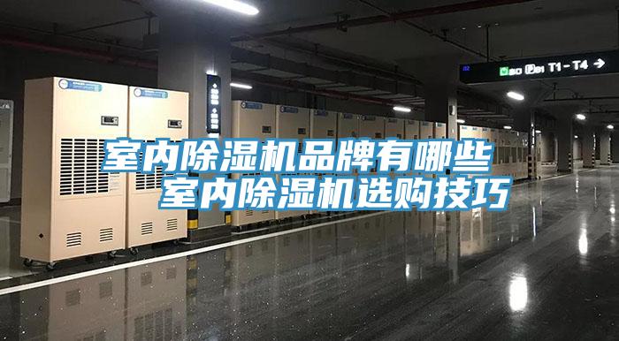 室內蘑菇视频网站品牌有哪些   室內蘑菇视频网站選購技巧
