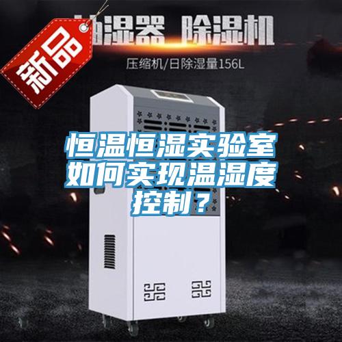 恒溫恒濕實驗室如何實現溫濕度控製？