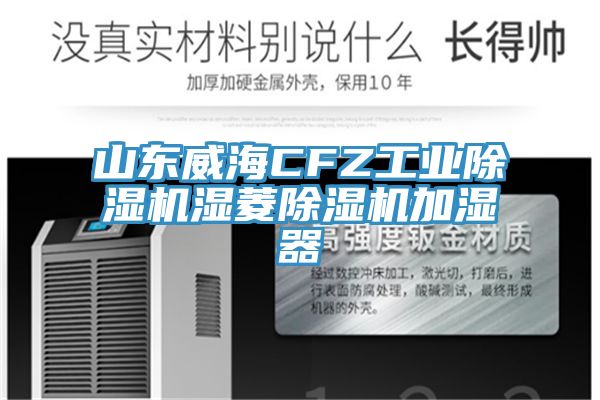 山東威海CFZ工業蘑菇视频网站濕菱蘑菇视频网站加濕器