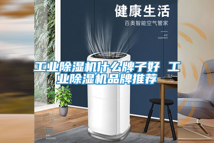 工業蘑菇视频网站什麽牌子好 工業蘑菇视频网站品牌推薦