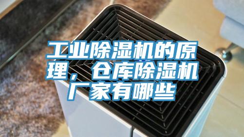 工業蘑菇视频网站的原理，倉庫蘑菇视频网站廠家有哪些