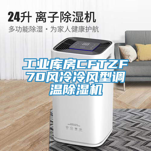 工業庫房CFTZF70風冷冷風型調溫蘑菇视频网站