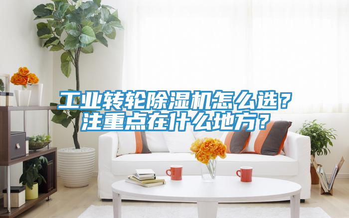 工業轉輪蘑菇视频网站怎麽選？注重點在什麽地方？
