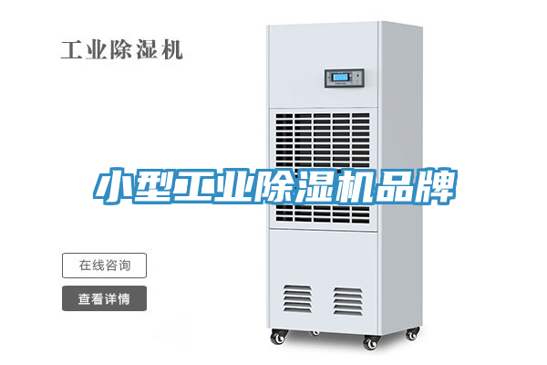 小型工業蘑菇视频网站品牌