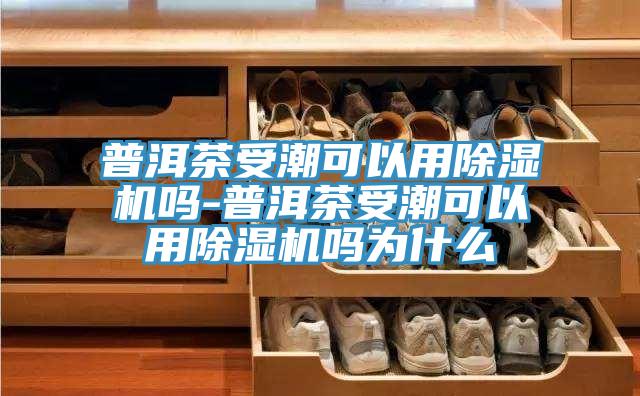 普洱茶受潮可以用蘑菇视频网站嗎-普洱茶受潮可以用蘑菇视频网站嗎為什麽