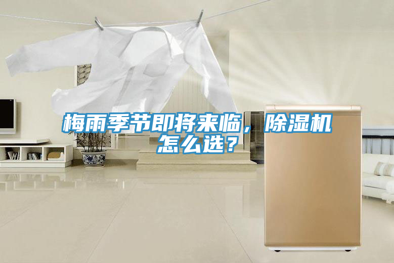梅雨季節即將來臨，蘑菇视频网站怎麽選？