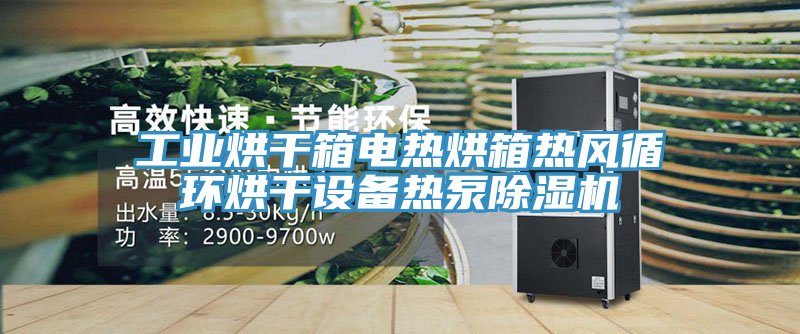 工業烘幹箱電熱烘箱熱風循環烘幹設備熱泵蘑菇视频网站