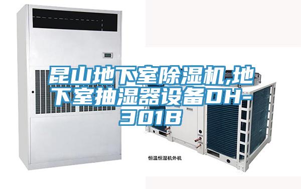 昆山地下室蘑菇视频网站,地下室抽濕器設備DH-301B