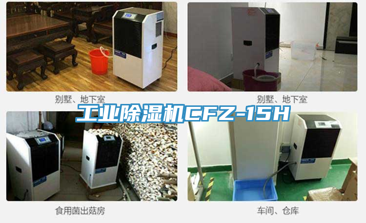 工業蘑菇视频网站CFZ-15H