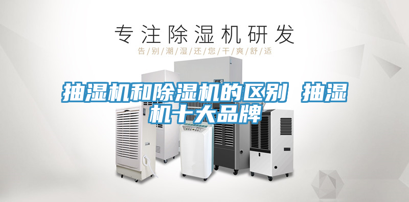 抽濕機和蘑菇视频网站的區別 抽濕機十大品牌