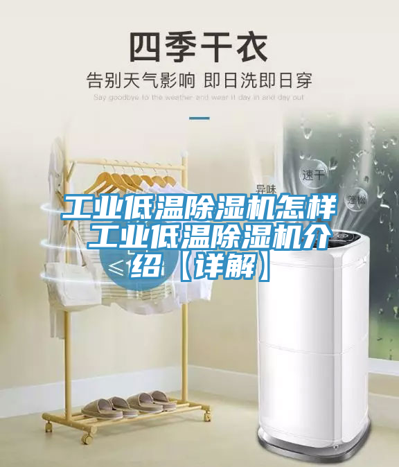 工業低溫蘑菇视频网站怎樣 工業低溫蘑菇视频网站介紹【詳解】