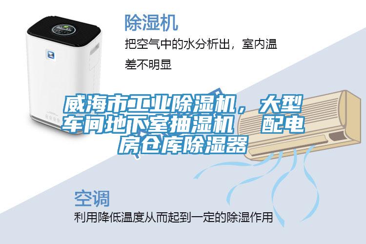 威海市工業蘑菇视频网站，大型車間地下室抽濕機  配電房倉庫除濕器