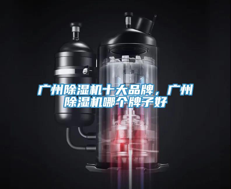 廣州蘑菇视频网站十大品牌，廣州蘑菇视频网站哪個牌子好