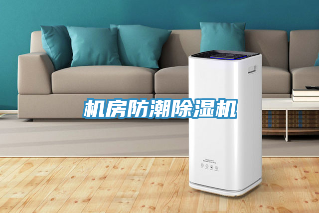 機房防潮蘑菇视频网站