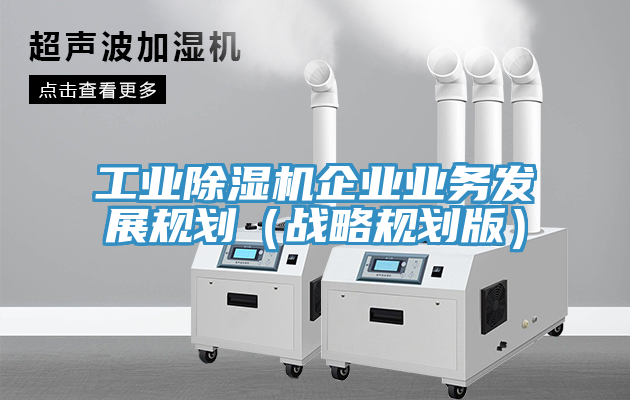 工業蘑菇视频网站企業業務發展規劃（戰略規劃版）