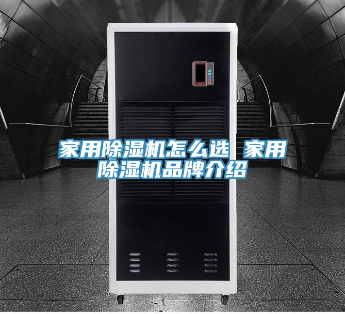 家用蘑菇视频网站怎麽選 家用蘑菇视频网站品牌介紹