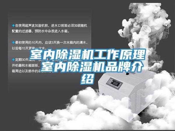 室內蘑菇视频网站工作原理 室內蘑菇视频网站品牌介紹