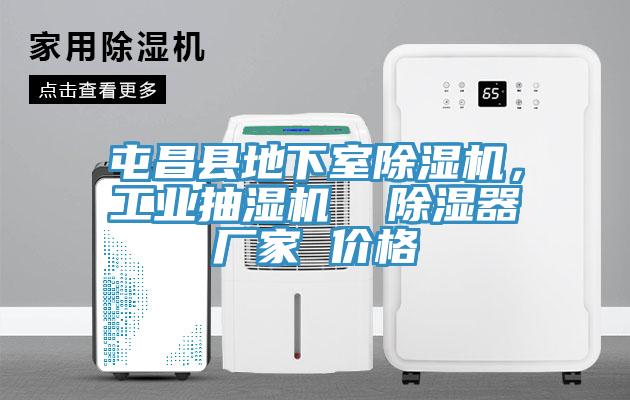 屯昌縣地下室蘑菇视频网站，工業抽濕機  除濕器廠家 價格