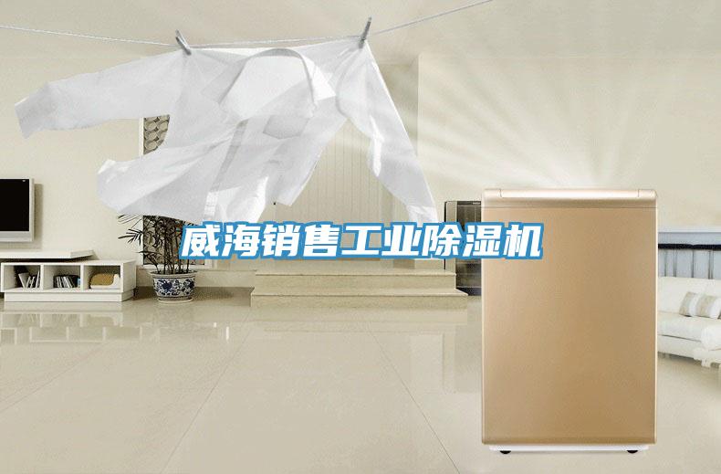 威海銷售工業蘑菇视频网站