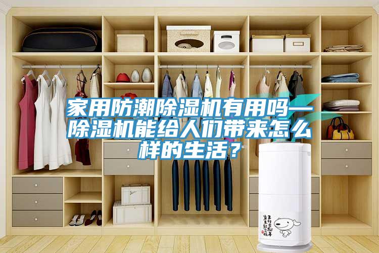 家用防潮蘑菇视频网站有用嗎—蘑菇视频网站能給人們帶來怎麽樣的生活？