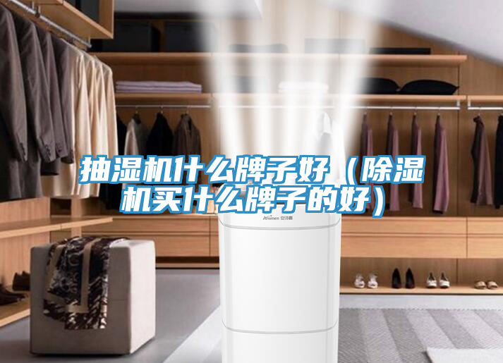 抽濕機什麽牌子好（蘑菇视频网站買什麽牌子的好）