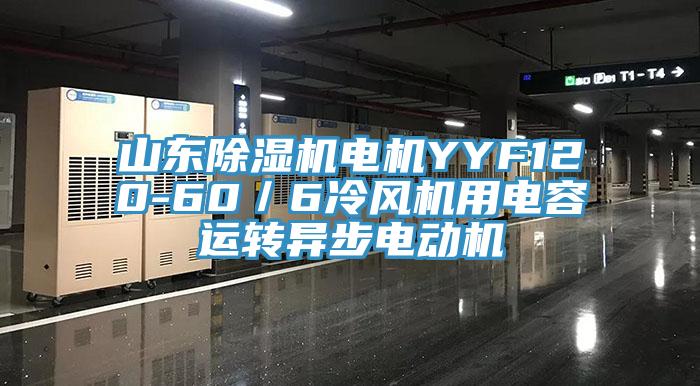 山東蘑菇视频网站電機YYF120-60／6冷風機用電容運轉異步電動機