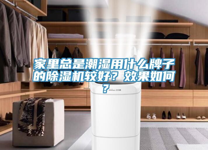家裏總是潮濕用什麽牌子的蘑菇视频网站較好？效果如何？