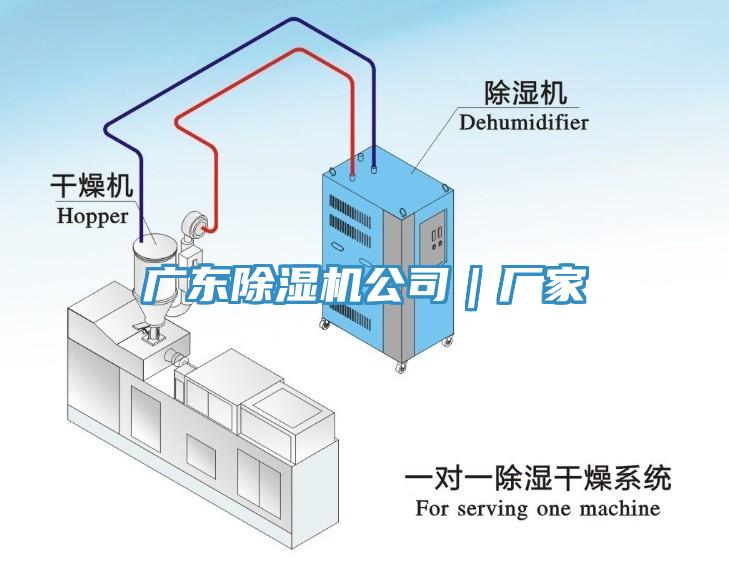 廣東蘑菇视频网站公司｜廠家