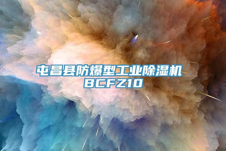 屯昌縣防爆型工業蘑菇视频网站 BCFZ10