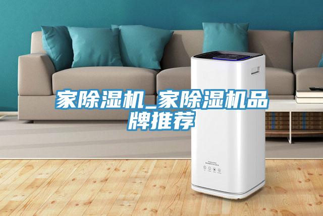 家蘑菇视频网站_家蘑菇视频网站品牌推薦