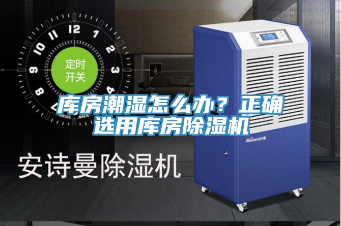 庫房潮濕怎麽辦？正確選用庫房蘑菇视频网站