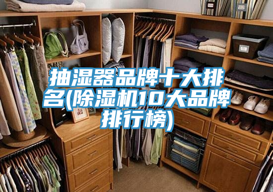抽濕器品牌十大排名(蘑菇视频网站10大品牌排行榜)