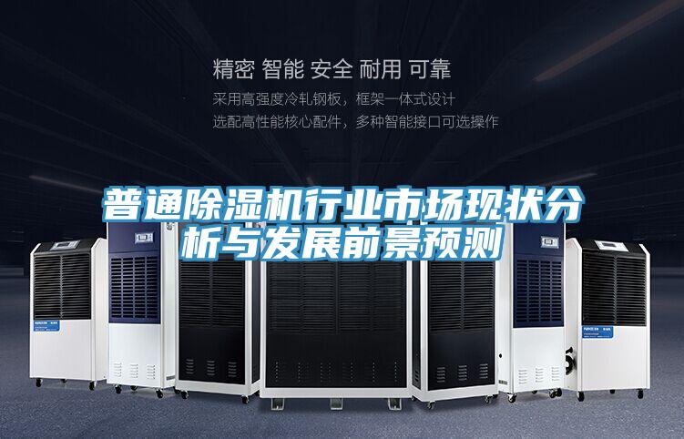 普通蘑菇视频网站行業市場現狀分析與發展前景預測