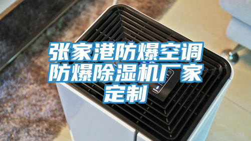 張家港防爆空調防爆蘑菇视频网站廠家定製