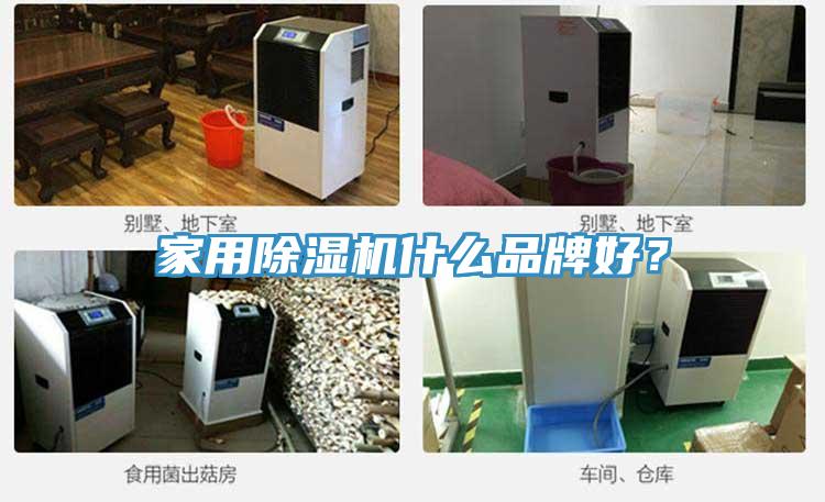 家用蘑菇视频网站什麽品牌好？