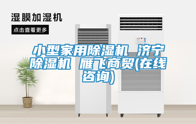 小型家用蘑菇视频网站 濟寧蘑菇视频网站 雁飛商貿(在線谘詢)