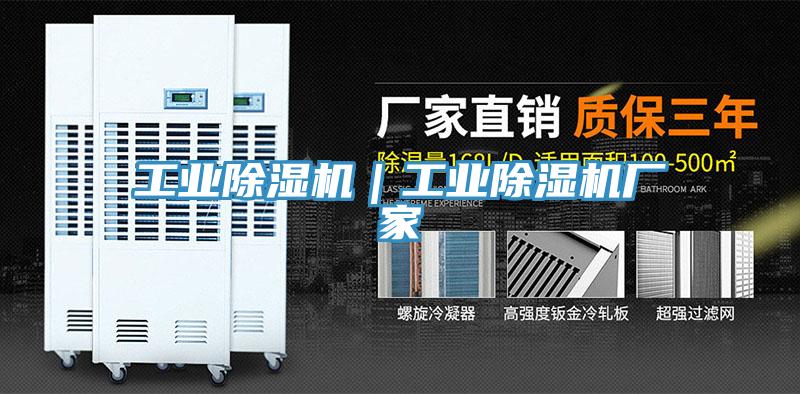 工業蘑菇视频网站｜工業蘑菇视频网站廠家