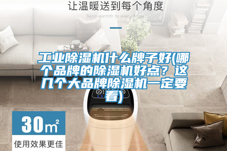 工業蘑菇视频网站什麽牌子好(哪個品牌的蘑菇视频网站好點？這幾個大品牌蘑菇视频网站一定要看)