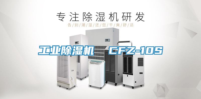 工業蘑菇视频网站  CFZ-10S