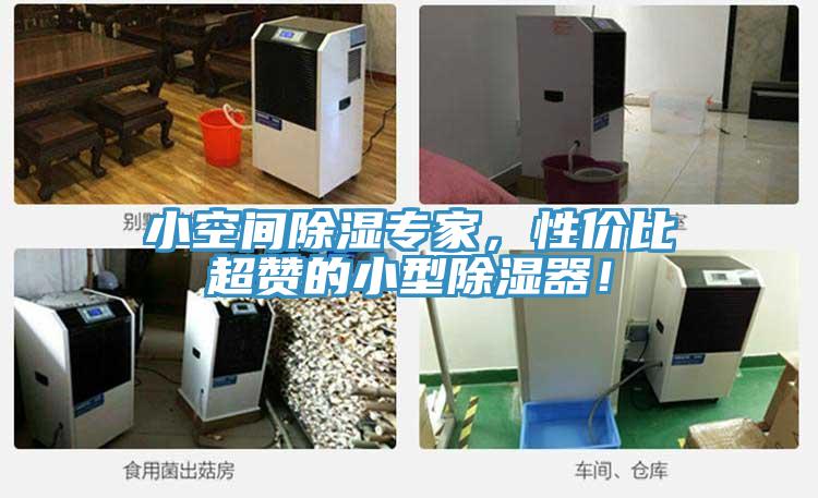 小空間除濕專家，性價比超讚的小型除濕器！