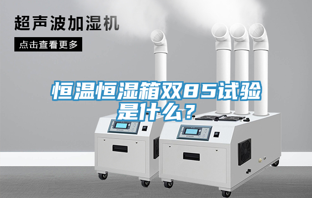 恒溫恒濕箱雙85試驗是什麽？