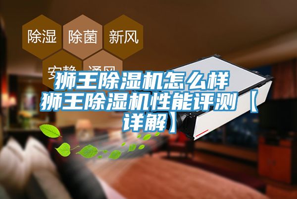 獅王蘑菇视频网站怎麽樣 獅王蘑菇视频网站性能評測【詳解】