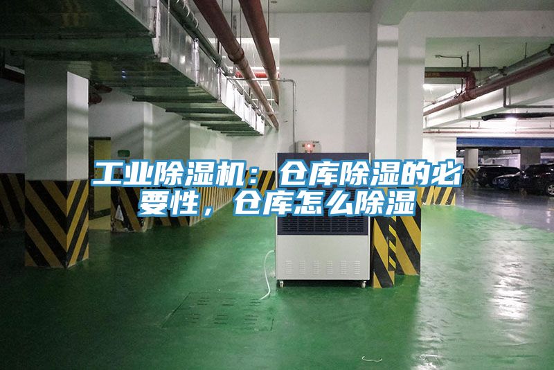 工業蘑菇视频网站：倉庫除濕的必要性，倉庫怎麽除濕