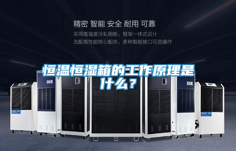 恒溫恒濕箱的工作原理是什麽？