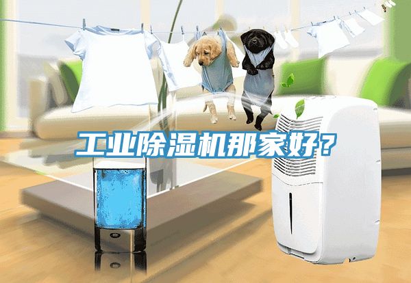 工業蘑菇视频网站那家好？