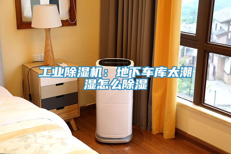 工業蘑菇视频网站：地下車庫太潮濕怎麽除濕