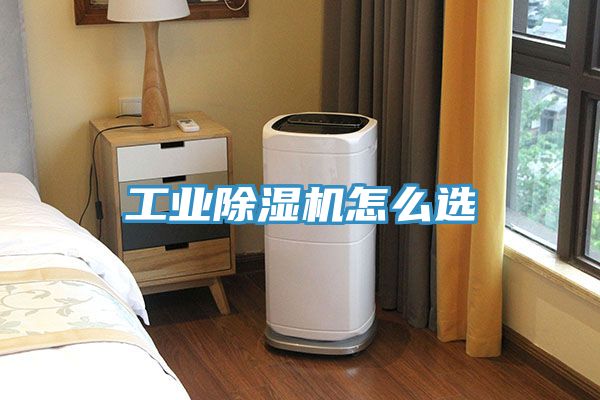 工業蘑菇视频网站怎麽選