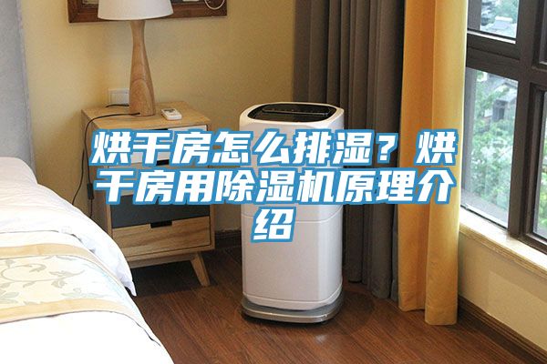 烘幹房怎麽排濕？烘幹房用蘑菇视频网站原理介紹