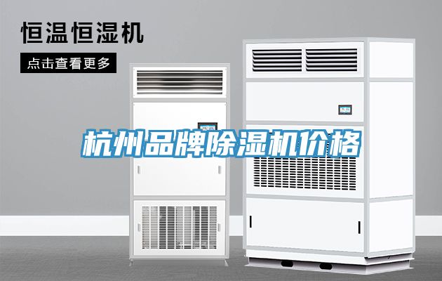 杭州品牌蘑菇视频网站價格