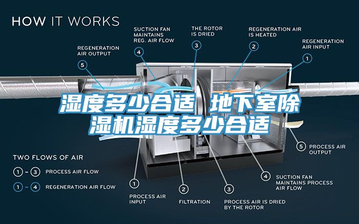 濕度多少合適 地下室蘑菇视频网站濕度多少合適